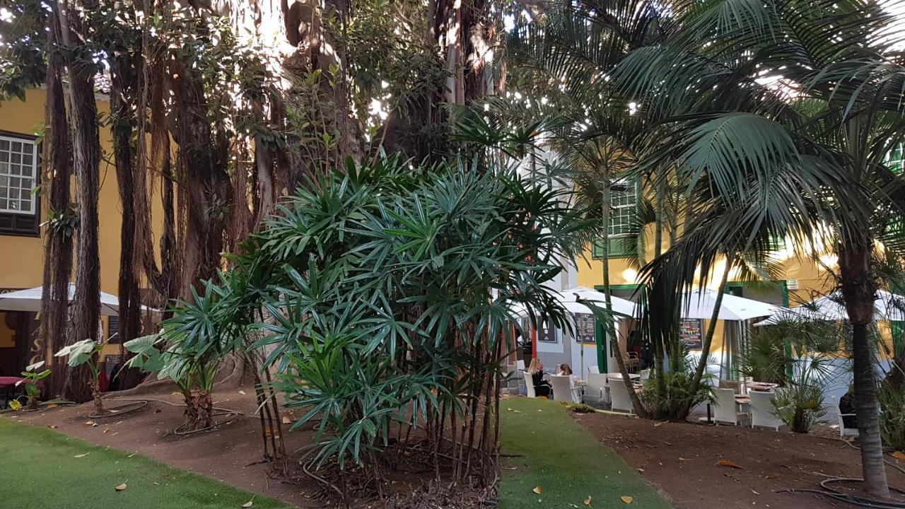 Hotel Casa Tortuga Santa Cruz de Tenerife Exteriér fotografie